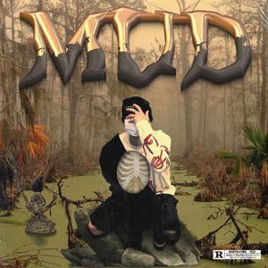 国产精品视频国产综合
