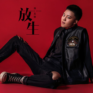 国产精品视频国产综合
