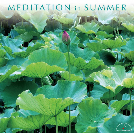 国产精品视频国产综合
